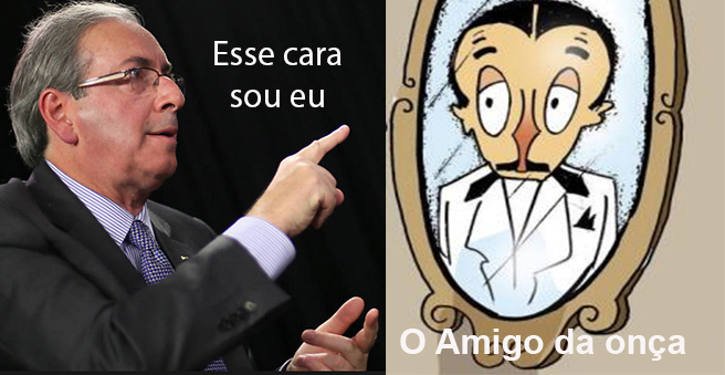 Amigo da Onça 01