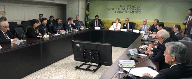 Financiamento-da-mandioca