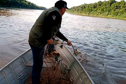 Pesca