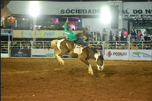 Rodeio-final